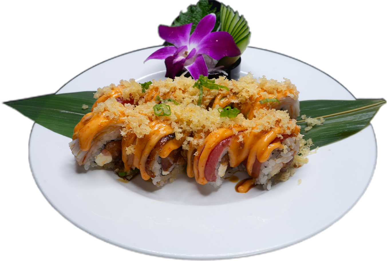 Shark Attack Roll